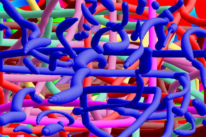 Jasper Tomkins Camelback Wonder